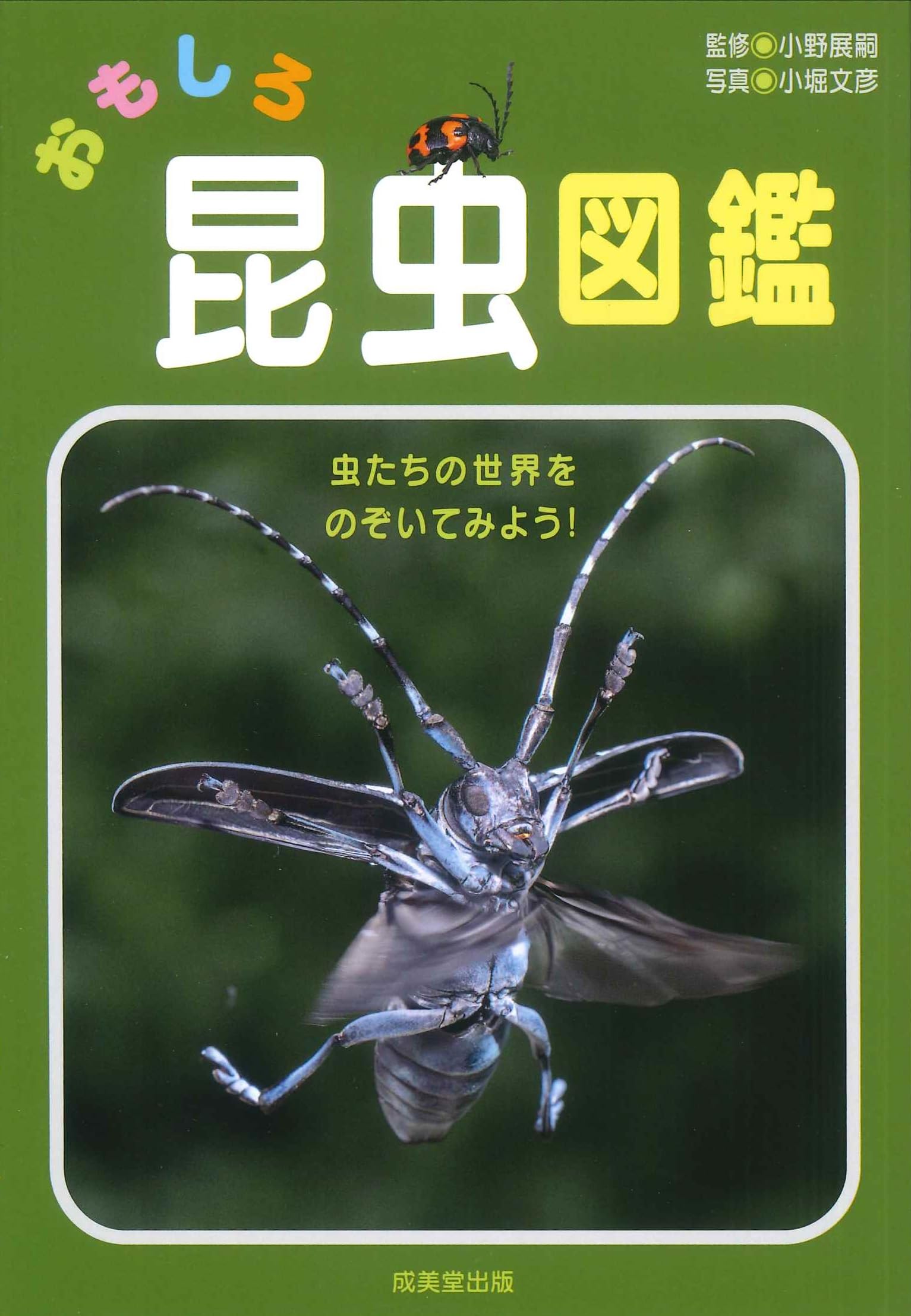 おもしろ昆虫図鑑 | 小野 展嗣, 小堀 文彦 |本 | 通販 | Amazon